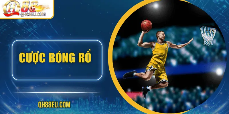 cuoc-bong-ro